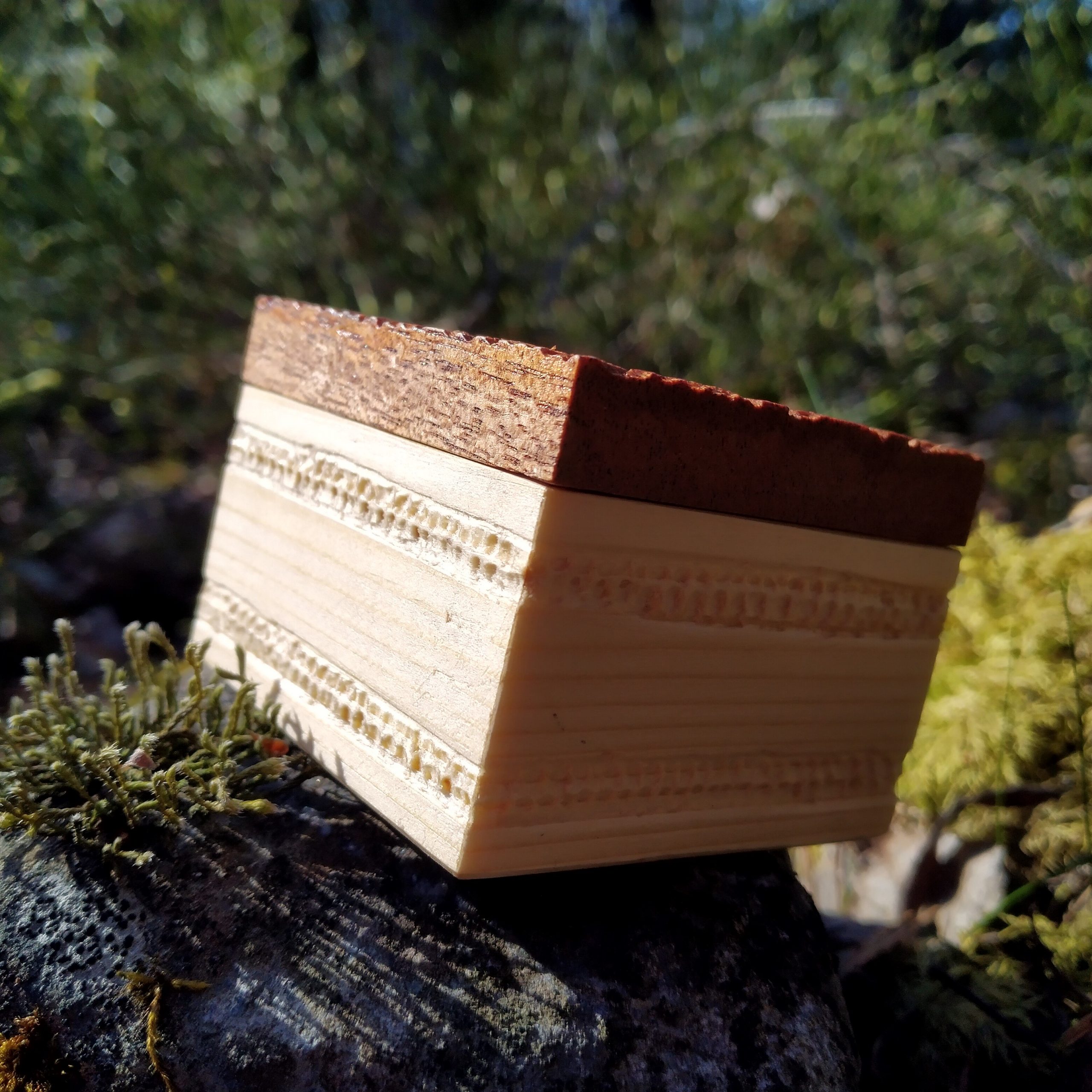 #190 Parkki - Image 2